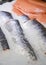 In supermarket fresh raw fish sturgeon on ice