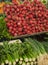 Supermarket shelf, Fresh organic herbs on display parsley, dill, green onion, radish. Fresh organic