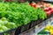 Supermarket vegetable section. Rows of neatly arranged fresh produce. Green lettuces, red tomatoes, shiny bell peppers