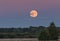 Supermoon above the forest, Europe