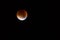 Supermoon and Blood Moon Coincide Due to Lunar Eclipse. coincide
