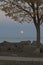 Supermoon Rising Over Lake Michigan, Vertical