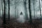 A supernatural concept of a ghostly woman wearing a long white dress, walking through a spooky, foggy forest in winter. With a