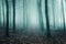A supernatural concept of a spooky, blurred, foggy forest in winter. With a grunge, vintage edit