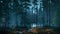 Supernatural magic lights in dark night fir forest