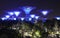 Supertree Grove rising above the night landscape at Gardens by the Bay