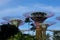 Supertrees and OCBC Skyway at Gardens by the Bay Singapore