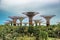 Supertrees, Supertree Grove at Gardens by the Bay in Singapore.