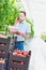 Supervisor talking on smartphone while reading report in greenhouse