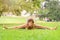 Supple woman working out in an urban park