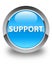 Support glossy cyan blue round button