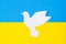 Support for Ukraine in the war with Russia, peace dove with flag of Ukraine. Pray, No war, stop war and stand with Ukraine