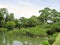 Supported tree branch in Kenrokuen Garden pond