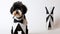 Suprematism-inspired Business Halloween Pet: Paper Tuxedo Dog Design