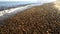 Surf of the Baltic sea on pebbles