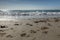 Surf on the beach in back light with waves, sand, shells and jellyfish