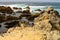 Surf Breaking Asilomar State Marine Reserve California