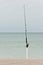 Surf fishing rod in holder at tropical shoreline