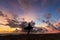 Surf girl meets sunset on the beach. silhouette