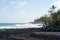 Surf hits tree coastline of palms and drywood at Pohoiki  beach