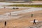 Surf school training on the Strandhill beach in Sligo