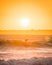 Surf take-off in the sunset in Brittany in France