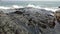 Surf waves running in the coastal rocks at the beach, Hampton, NH, USA