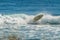 Surf wipeout at Ningaloo