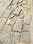 Surface of a broken cement brick pavement for textural background