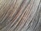 Surface of broom hair
