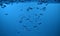 Surface Bubbles under Blue water background