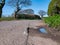 Surface damage to tarmac on a rural road is marked for repair with white spray paint.