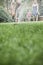 Surface level shot of father jumping through a sprinkler in the grass, mother and daughter watch in the background