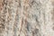 Surface of the marble with brown tint, stone texture and background. Imagination of the nature.