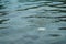 Surface mosaic of water swirl on swimming pool on blur drainage background