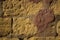 Surface of old porous tuff bricks