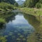 The surface of the river reflects the beauty of the valley,AI generated