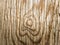 The surface texture of a wooden board with knots