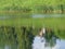 Surface of water of lake with light ripples and reflections, close-up.