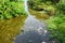 Surface of the water reservoir among trees is contaminated with debris and solid waste in form of stains.