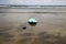 Surfboard on the beach