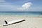 Surfboard on Beach