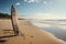 A surfboard graces an empty, tranquil stretch of wild beach