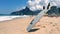 Surfboard Ipanema Beach Rio de Janeiro Brazil