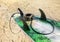 Surfboard lying on sand near the ocean