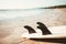 Surfboard on sand tropical beach with seascape calm sea and sky