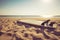 Surfboard on sand tropical beach with seascape calm sea and sunset