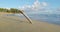 Surfboard on tropical surf beach. Dominican Republic.