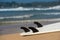 Surfboards lays on the tropical beach