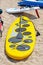 Surfboards lying on the beach at sunny day in summer, colorful surfboard on the sand, summer time with best friends